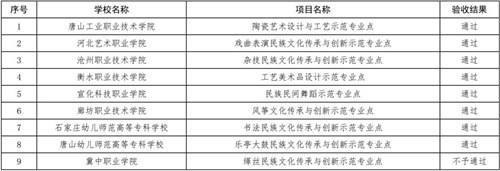 民族文化传承与创新示范专业点项目.jpg